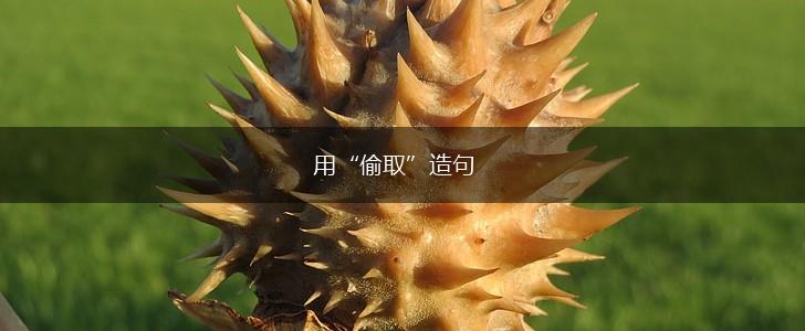 用“偷取”造句,第1张
