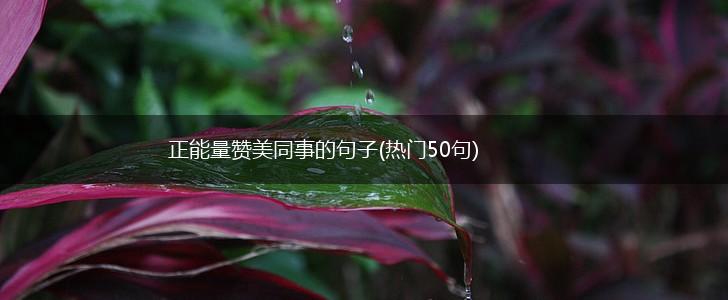 正能量赞美同事的句子(热门50句),第1张