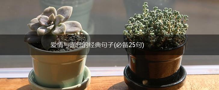 爱情与面包的经典句子(必备25句),第1张