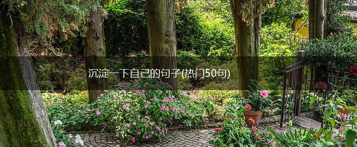 沉淀一下自己的句子(热门50句),第1张