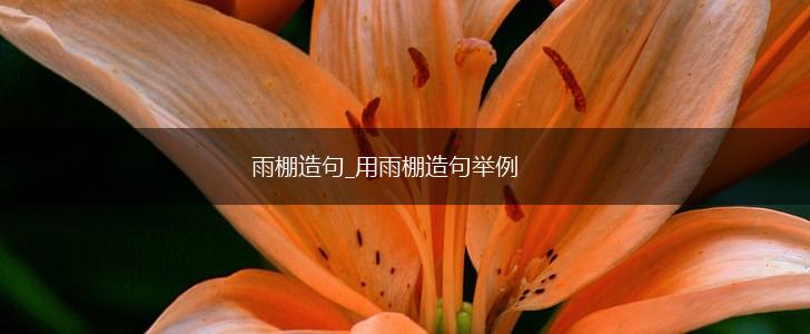 雨棚造句_用雨棚造句举例,第1张