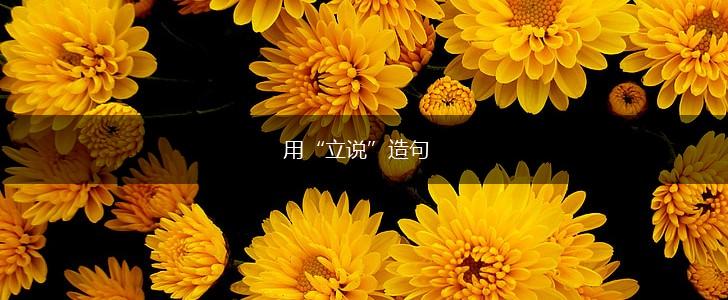 用“立说”造句,第1张