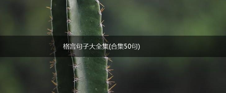 格言句子大全集(合集50句),第1张