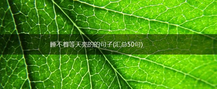 睡不着等天亮的的句子(汇总50句),第1张