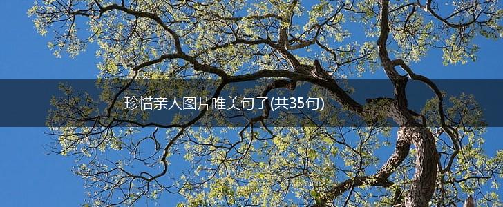 珍惜亲人图片唯美句子(共35句),第1张