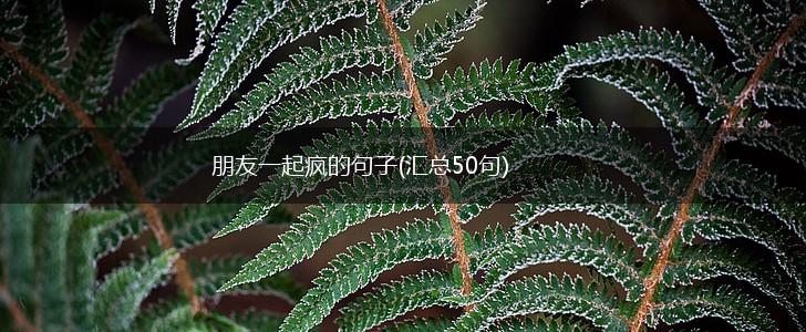朋友一起疯的句子(汇总50句),第1张