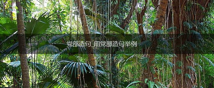 党部造句_用党部造句举例,第1张