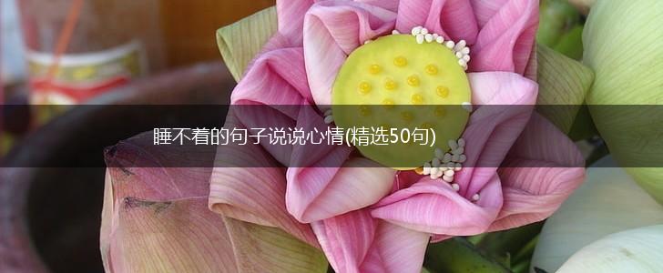 睡不着的句子说说心情(精选50句),第1张