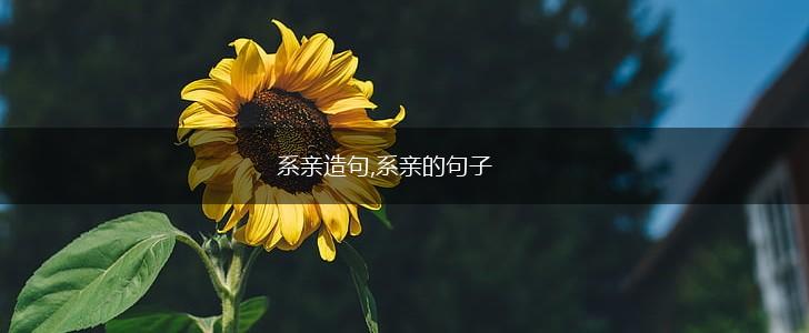 系亲造句,系亲的句子,第1张