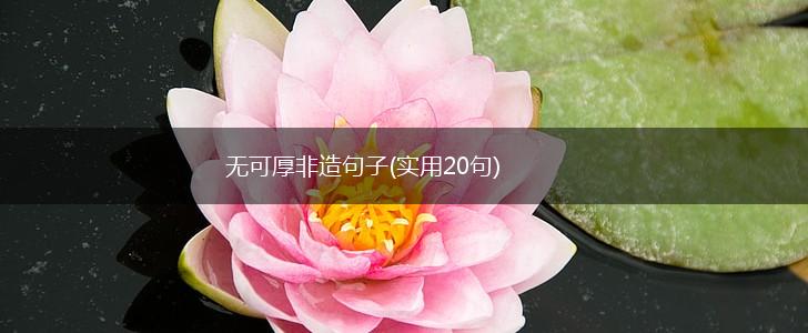 无可厚非造句子(实用20句),第1张