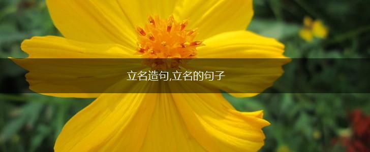 立名造句,立名的句子,第1张