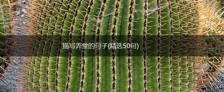 描写弄堂的句子(精选50句),第1张