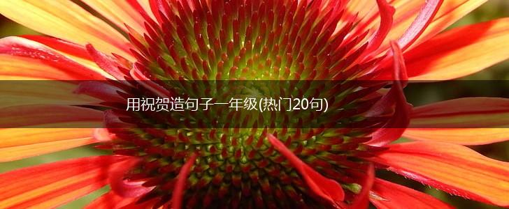 用祝贺造句子一年级(热门20句),第1张