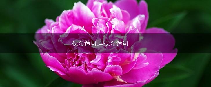 偿金造句,用偿金造句,第1张