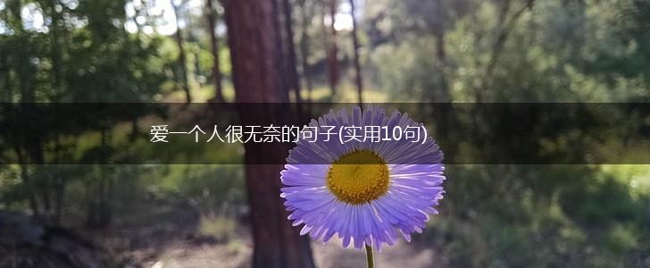 爱一个人很无奈的句子(实用10句),第1张