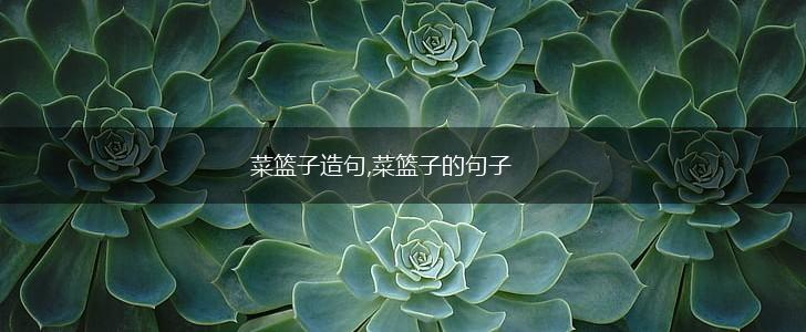 菜篮子造句,菜篮子的句子,第1张