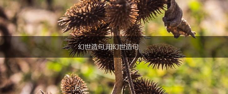 幻世造句,用幻世造句,第1张