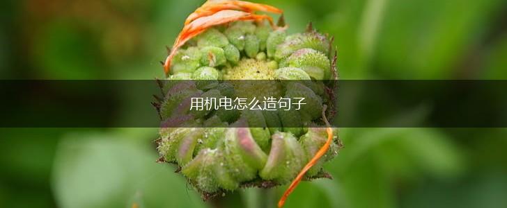 用机电怎么造句子,第1张