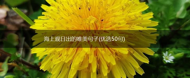 海上观日出的唯美句子(优选50句),第1张