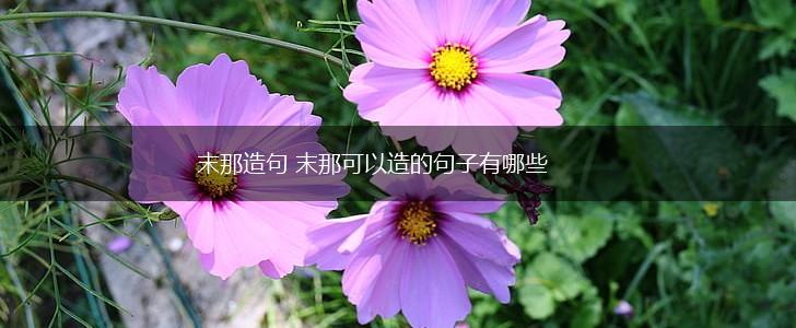 末那造句 末那可以造的句子有哪些,第1张