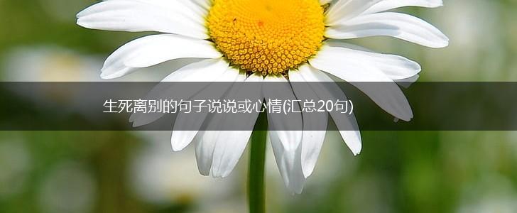 生死离别的句子说说或心情(汇总20句),第1张