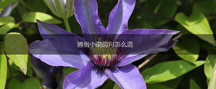 通俗小说造句怎么造,第1张