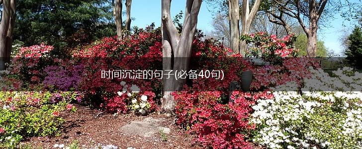 时间沉淀的句子(必备40句),第1张