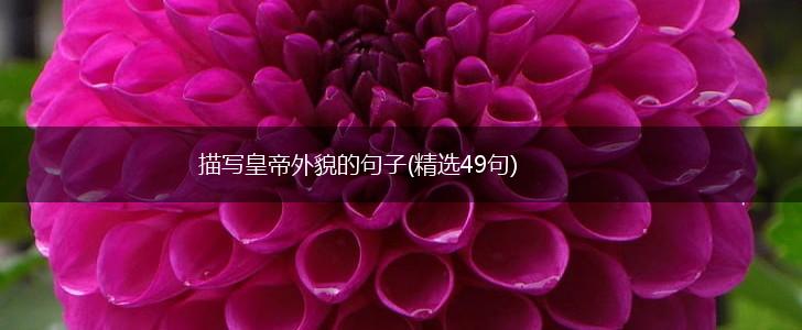 描写皇帝外貌的句子(精选49句),第1张