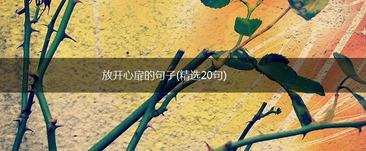 放开心扉的句子(精选20句),第1张