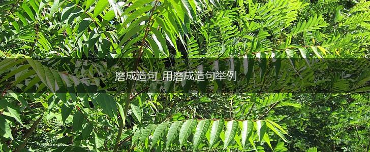 磨成造句_用磨成造句举例,第1张