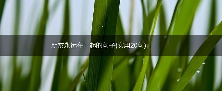 朋友永远在一起的句子(实用20句),第1张
