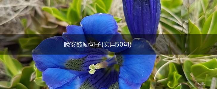 晚安鼓励句子(实用50句),第1张