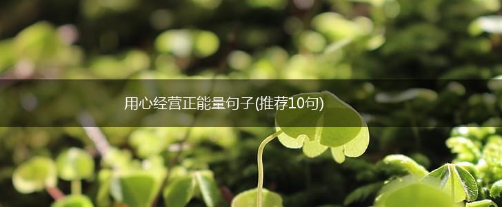 用心经营正能量句子(推荐10句),第1张
