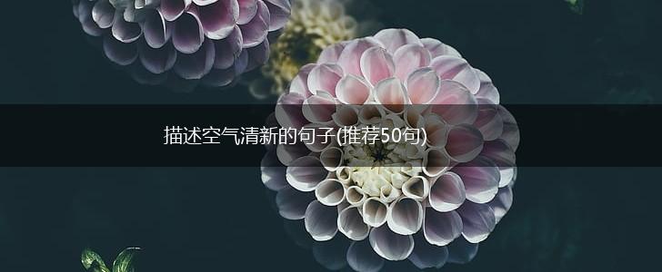 描述空气清新的句子(推荐50句),第1张