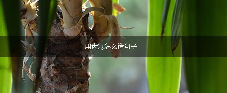 用齿寒怎么造句子,第1张