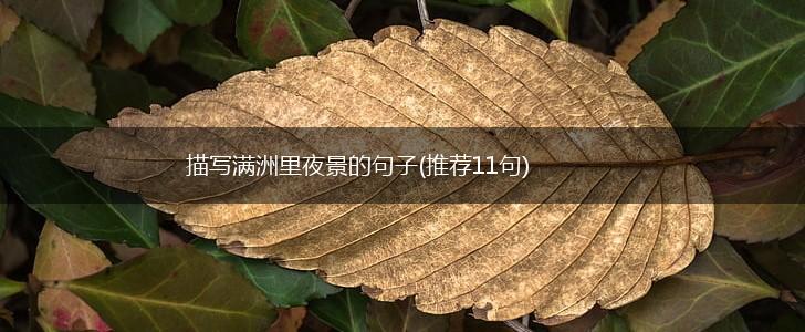 描写满洲里夜景的句子(推荐11句),第1张