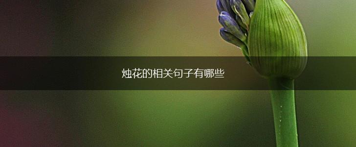 烛花的相关句子有哪些,第1张