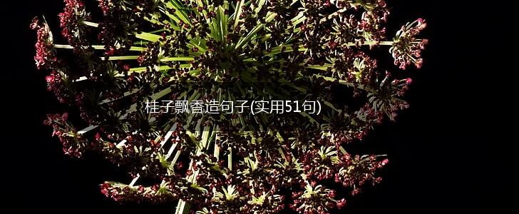 桂子飘香造句子(实用51句),第1张