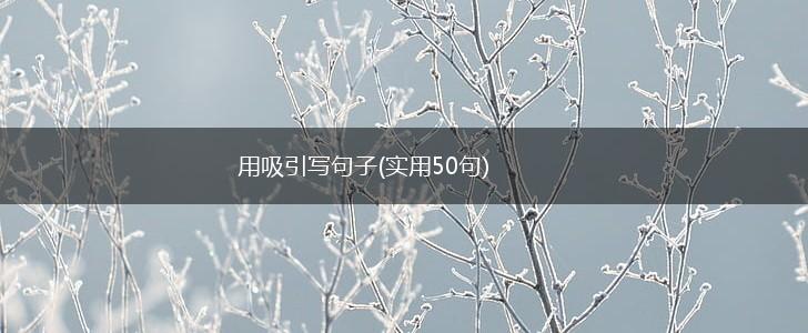 用吸引写句子(实用50句),第1张