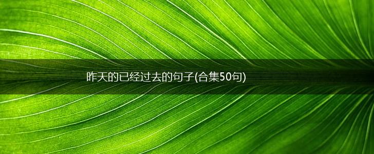 昨天的已经过去的句子(合集50句),第1张