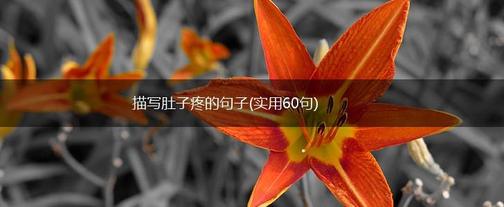 描写肚子疼的句子(实用60句),第1张