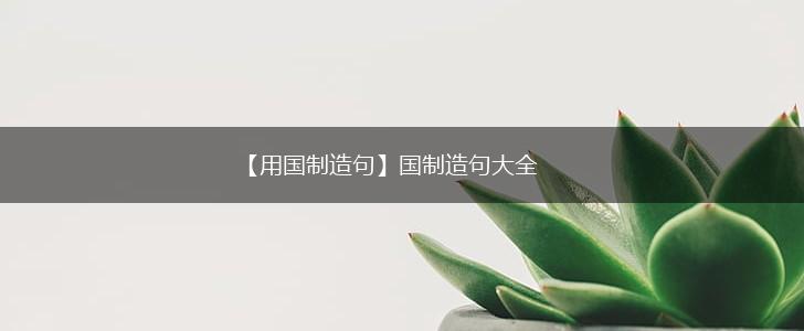 【用国制造句】国制造句大全,第1张
