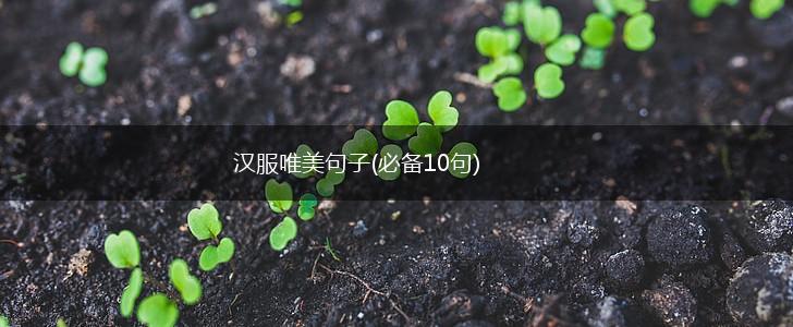 汉服唯美句子(必备10句),第1张