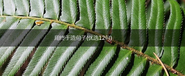 用终于造句子(优选12句),第1张