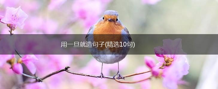 用一旦就造句子(精选10句),第1张