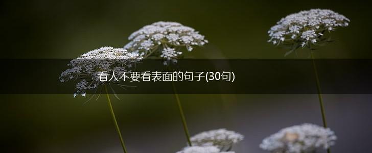 看人不要看表面的句子(30句),第1张