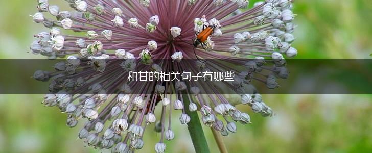 和甘的相关句子有哪些,第1张