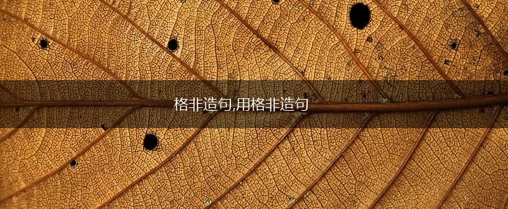 格非造句,用格非造句,第1张