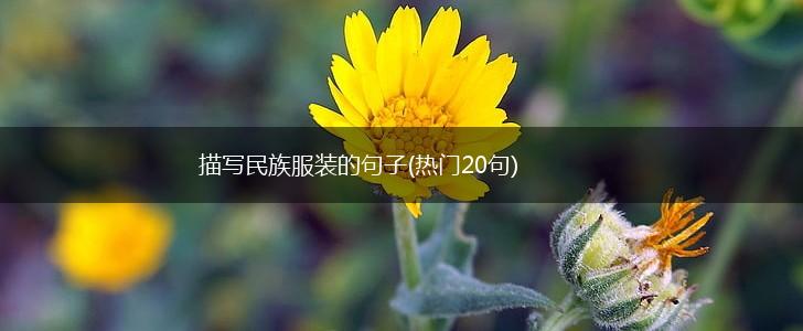 描写民族服装的句子(热门20句),第1张