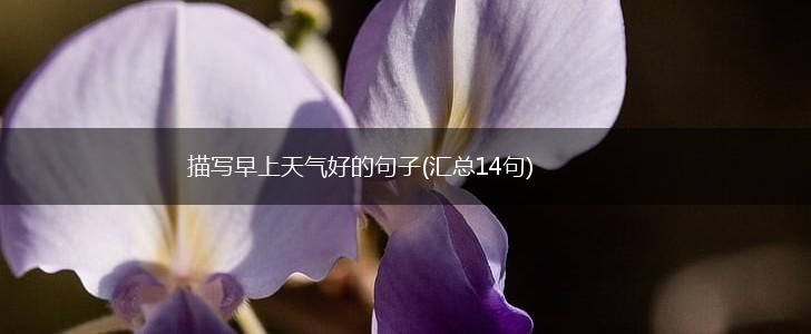 描写早上天气好的句子(汇总14句),第1张